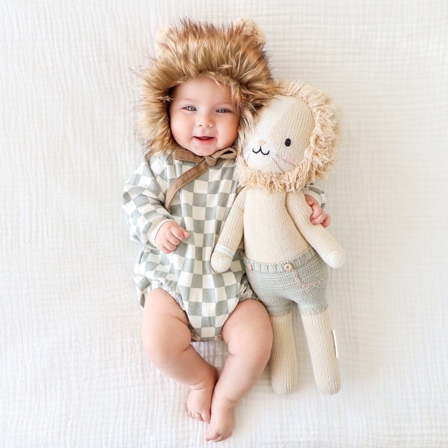 Sawyer the lion