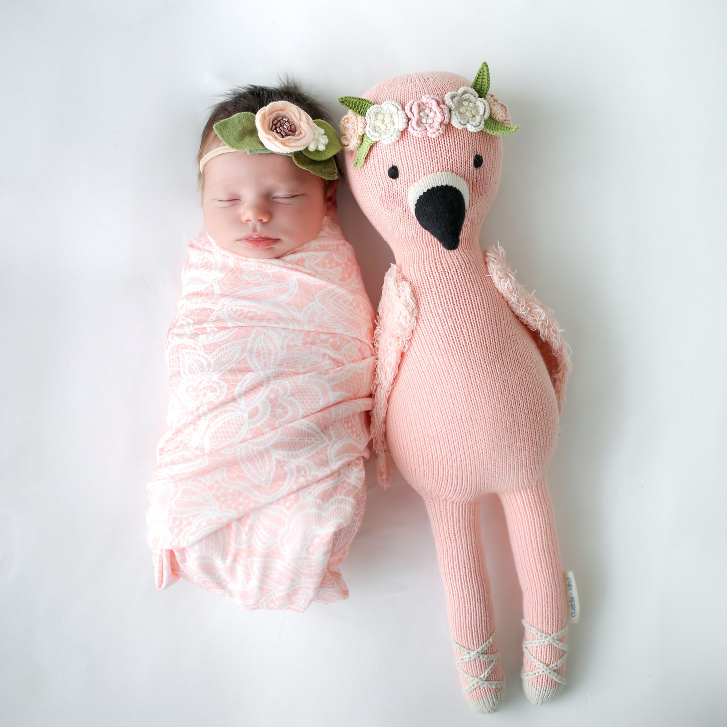 Penelope the flamingo