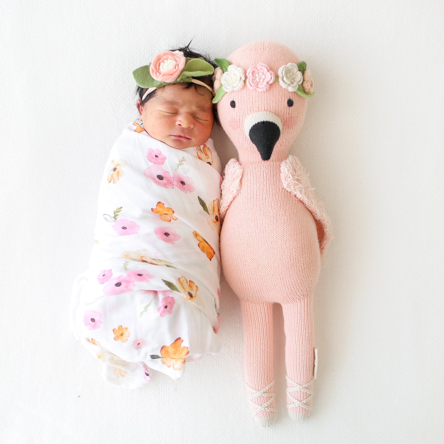 Penelope the flamingo