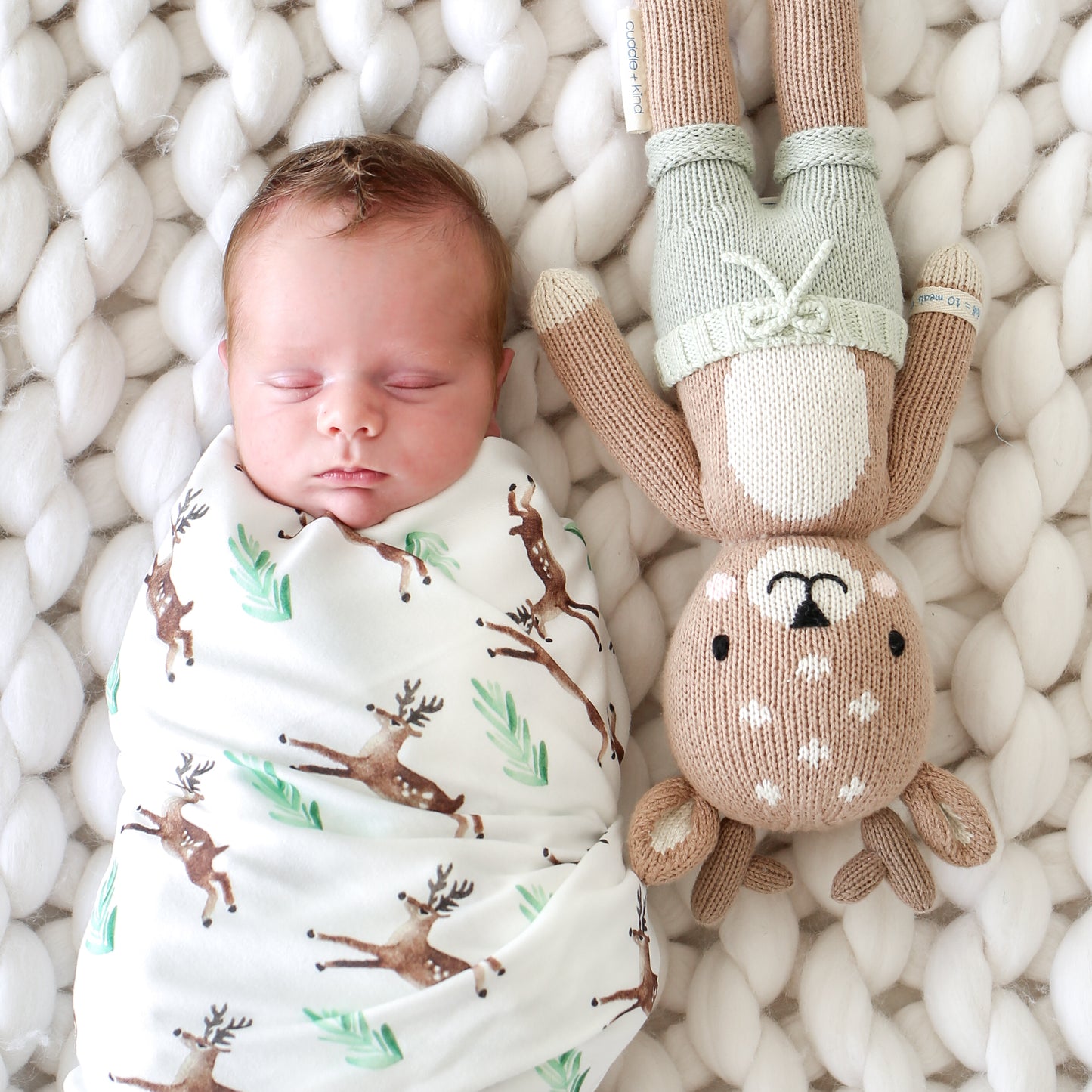 Elliot the fawn