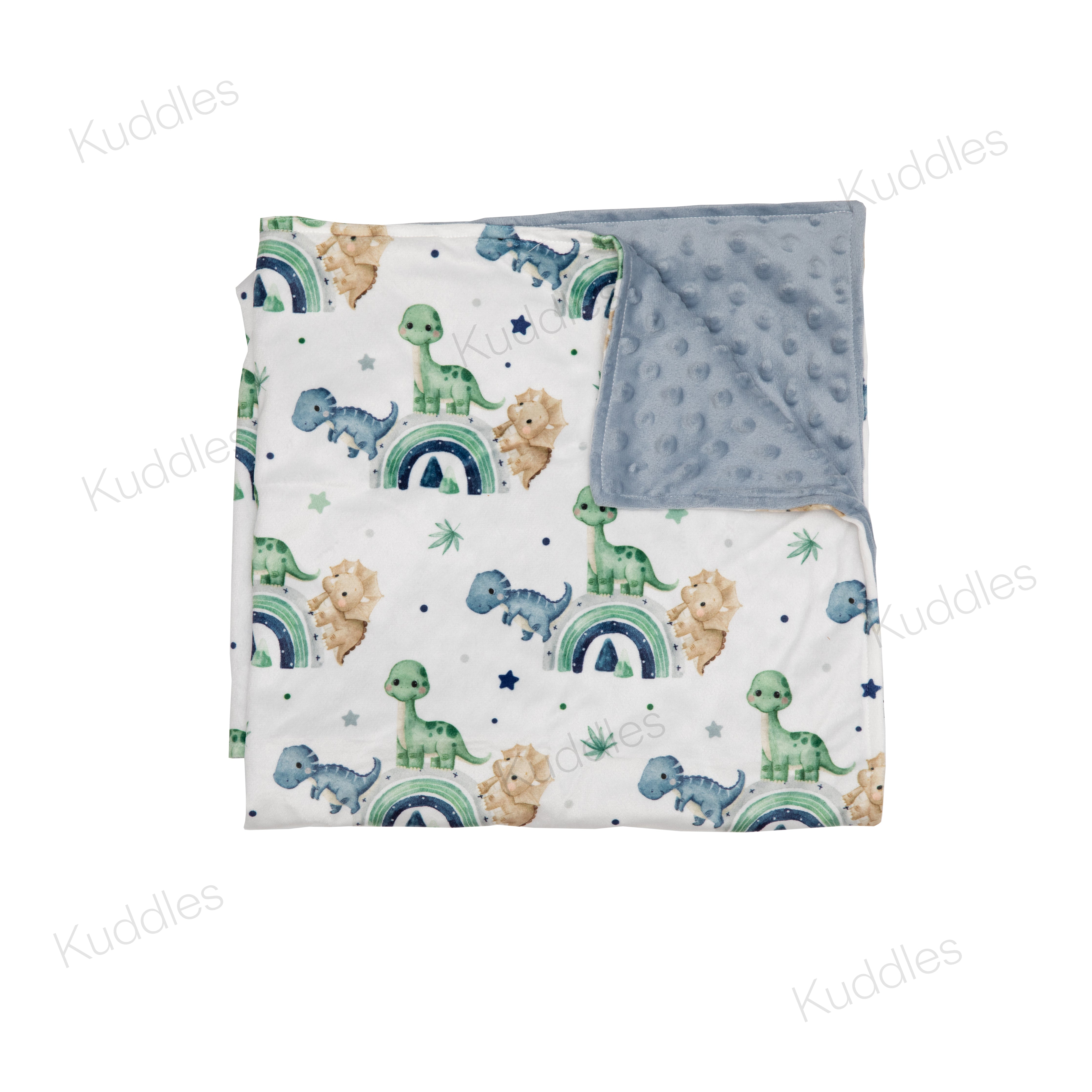 Cute Little Dinosaurs Blue Reversible Minky Blanket