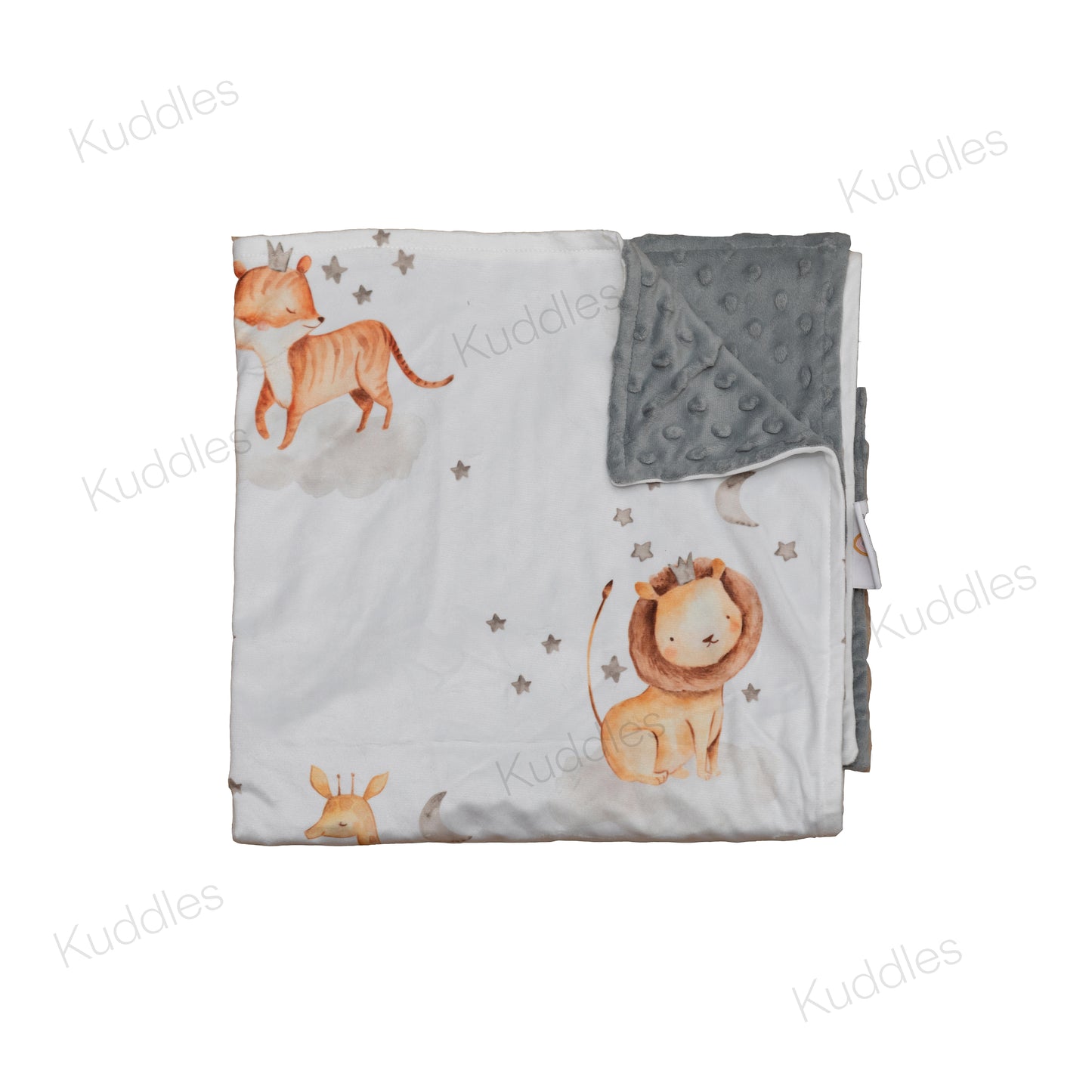 Dreamland Prairie Reversible Minky Blanket