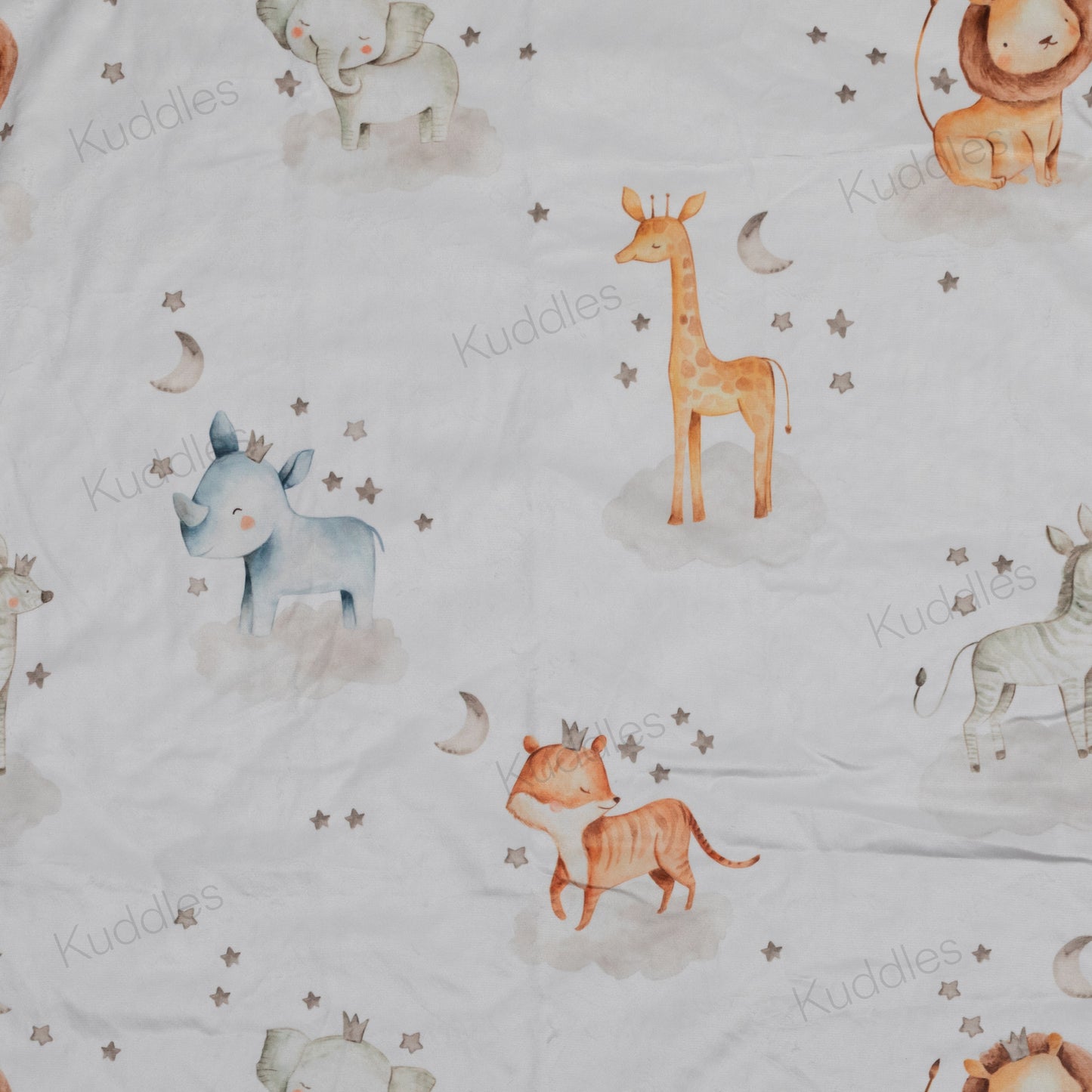 Dreamland Prairie Reversible Minky Blanket