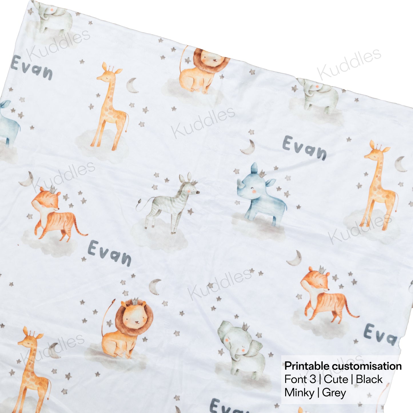 Dreamland Prairie Reversible Minky Blanket