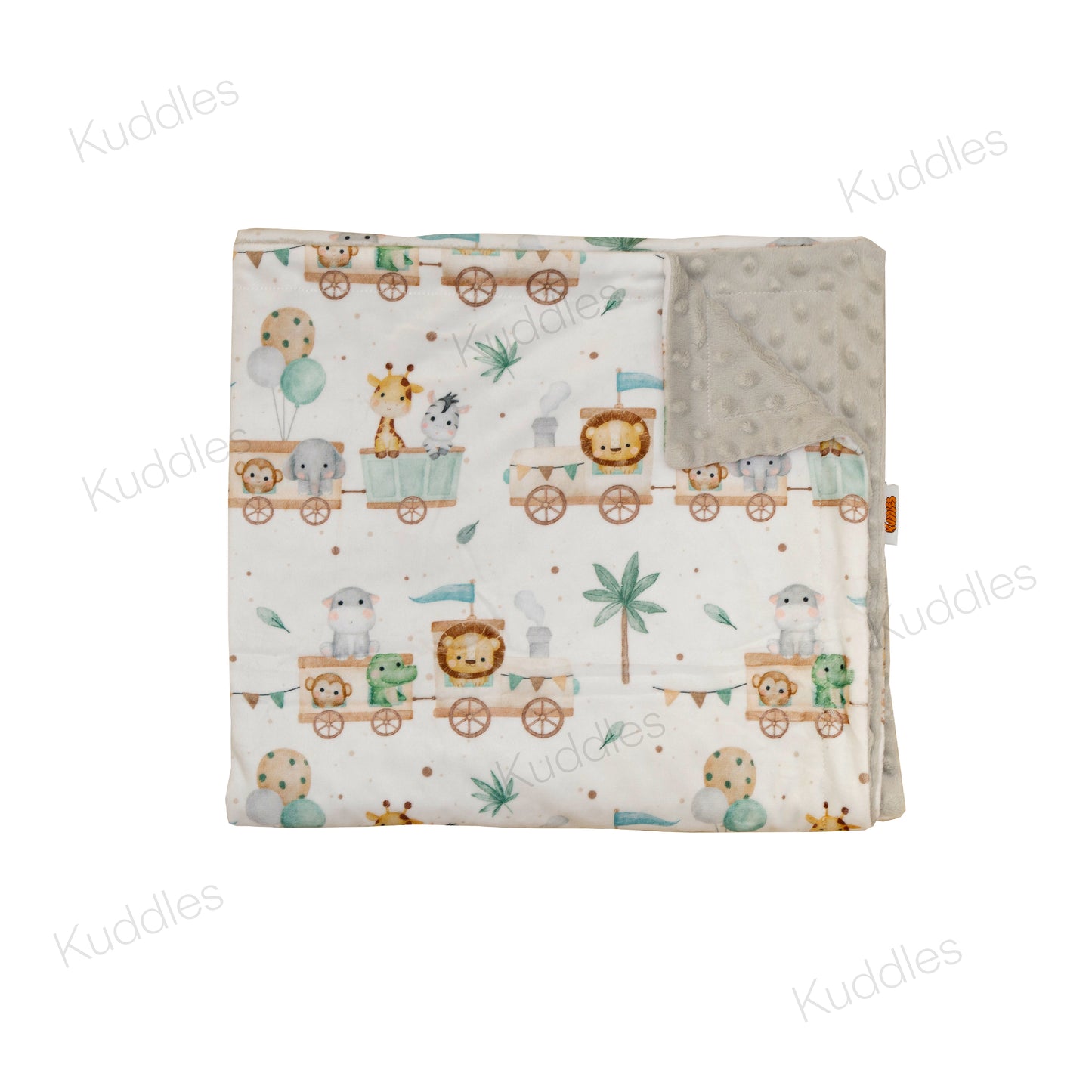 Safari Train Adventure Reversible Minky Blanket