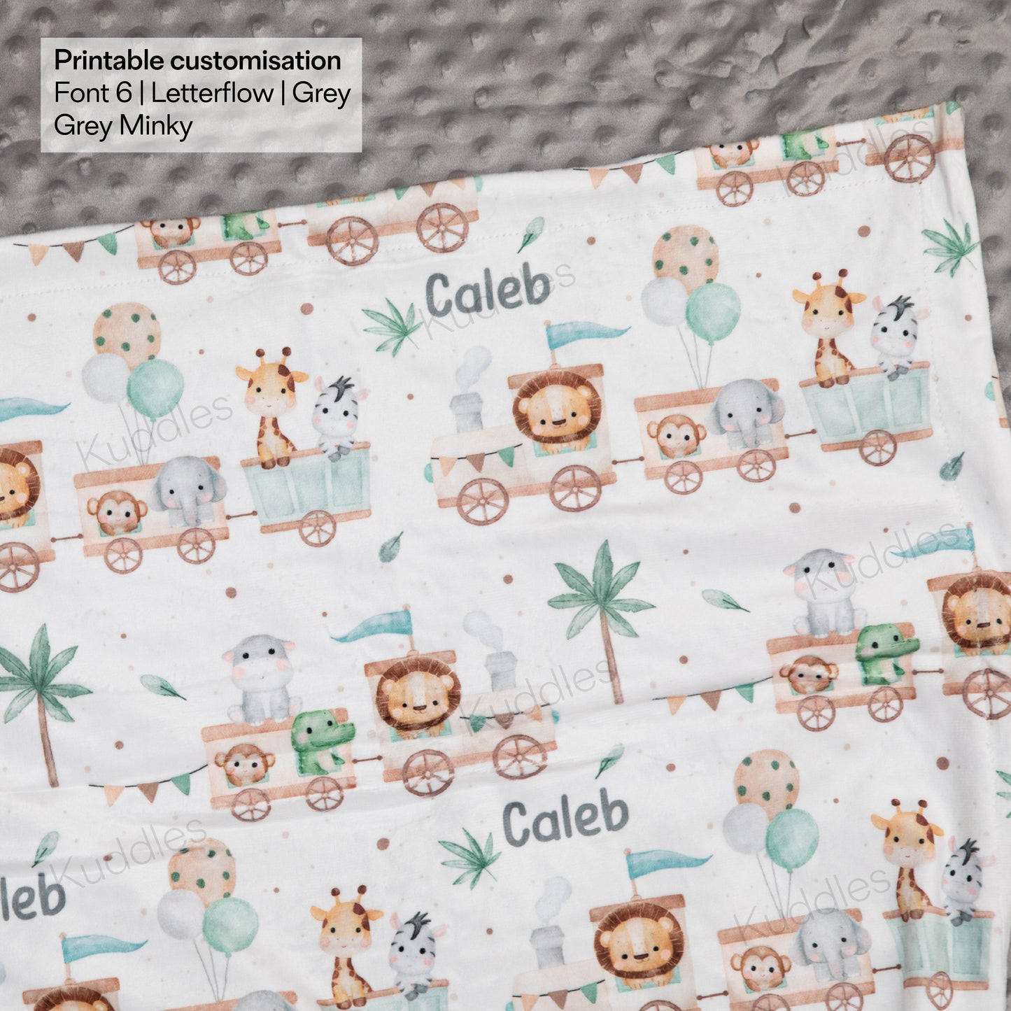 Safari Train Adventure Reversible Minky Blanket