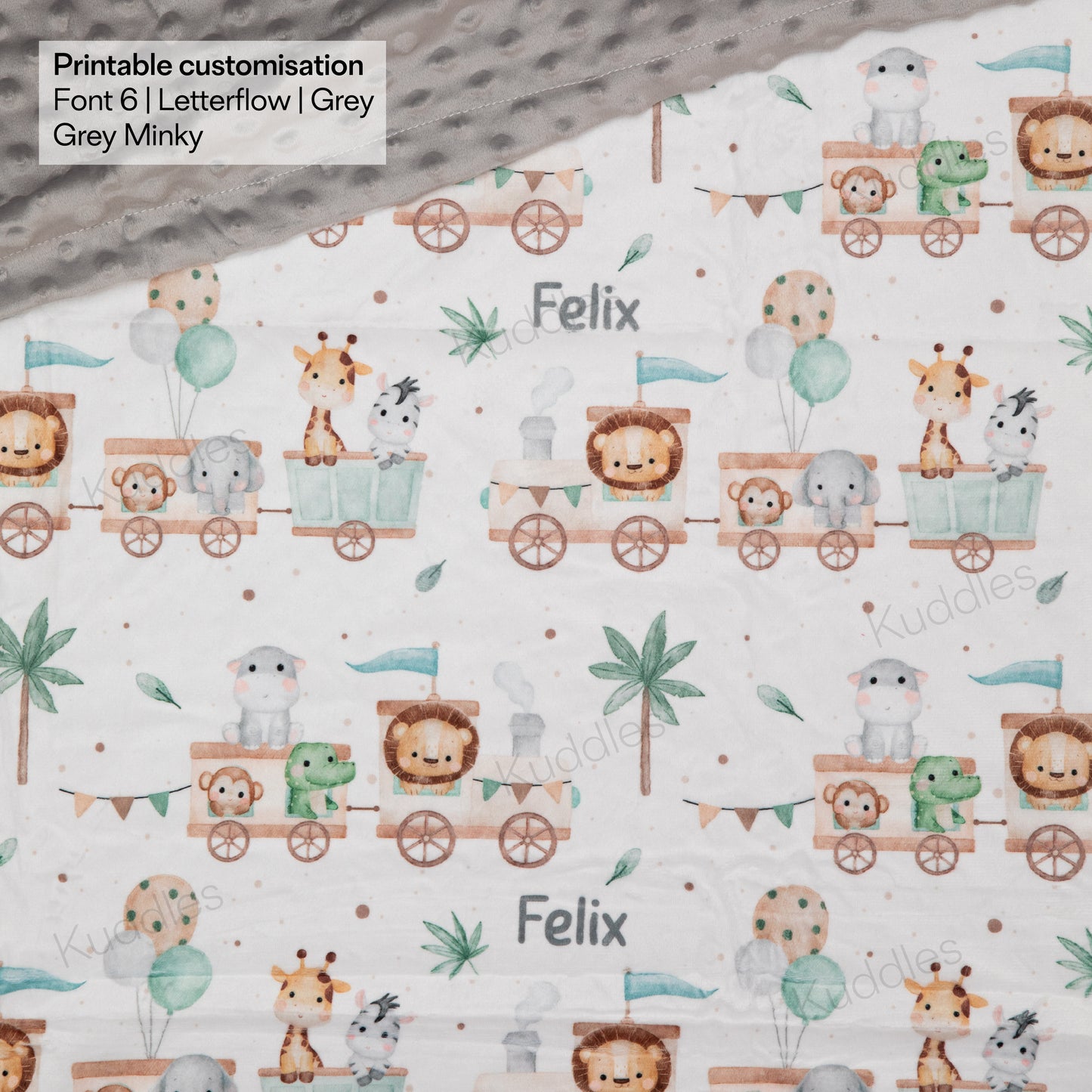 Safari Train Adventure Reversible Minky Blanket
