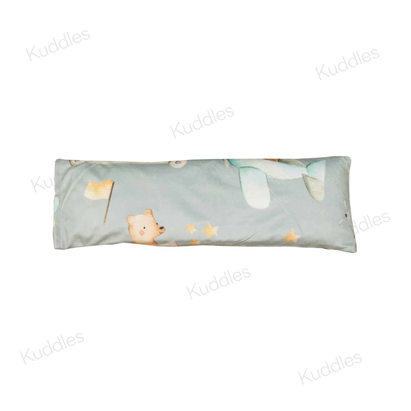 Animal Airplanes Minky Buckwheat Husk Pillow